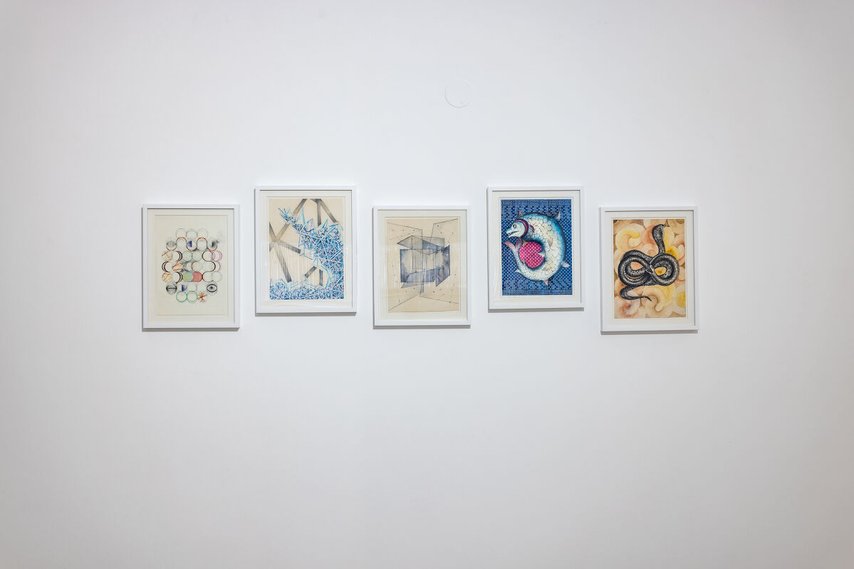 Nature Morte – Installation View