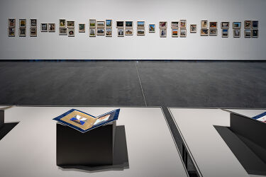 Nature Morte – Installation View