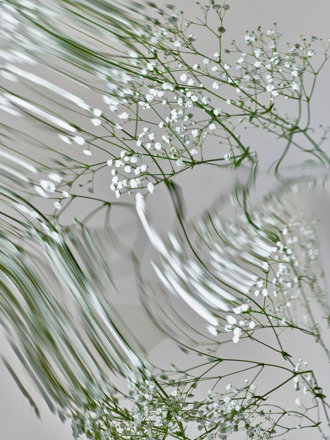 Qiu Yang, Flower Series