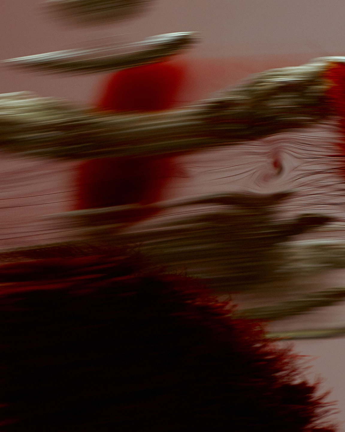 Qiu Yang, Bloom Series