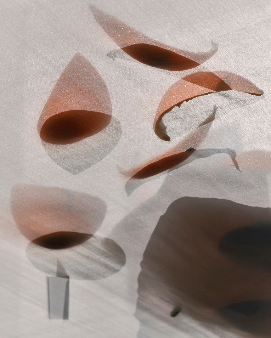 Qiu Yang for WWD, Untitled from Isolation
