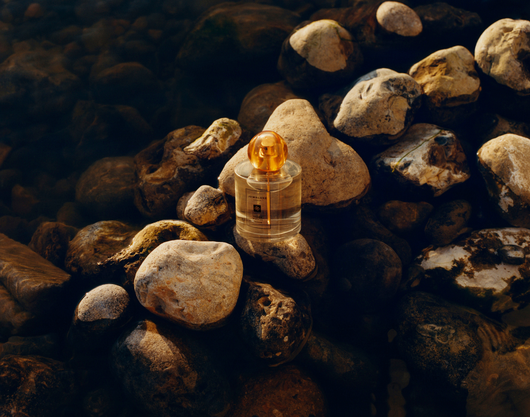 Samuel Bradley for Jo Malone London, Blossom