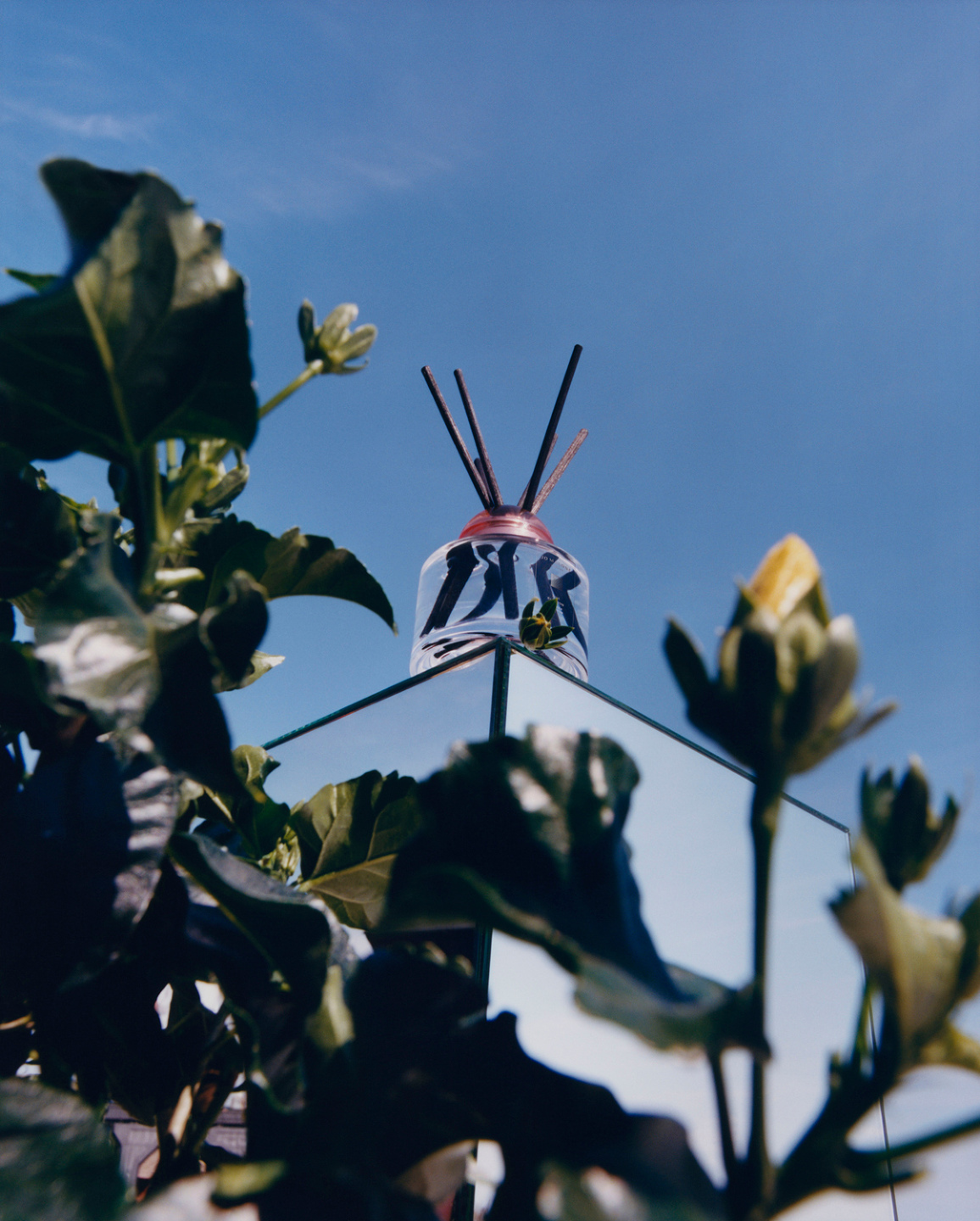 Samuel Bradley for Jo Malone London, Blossom