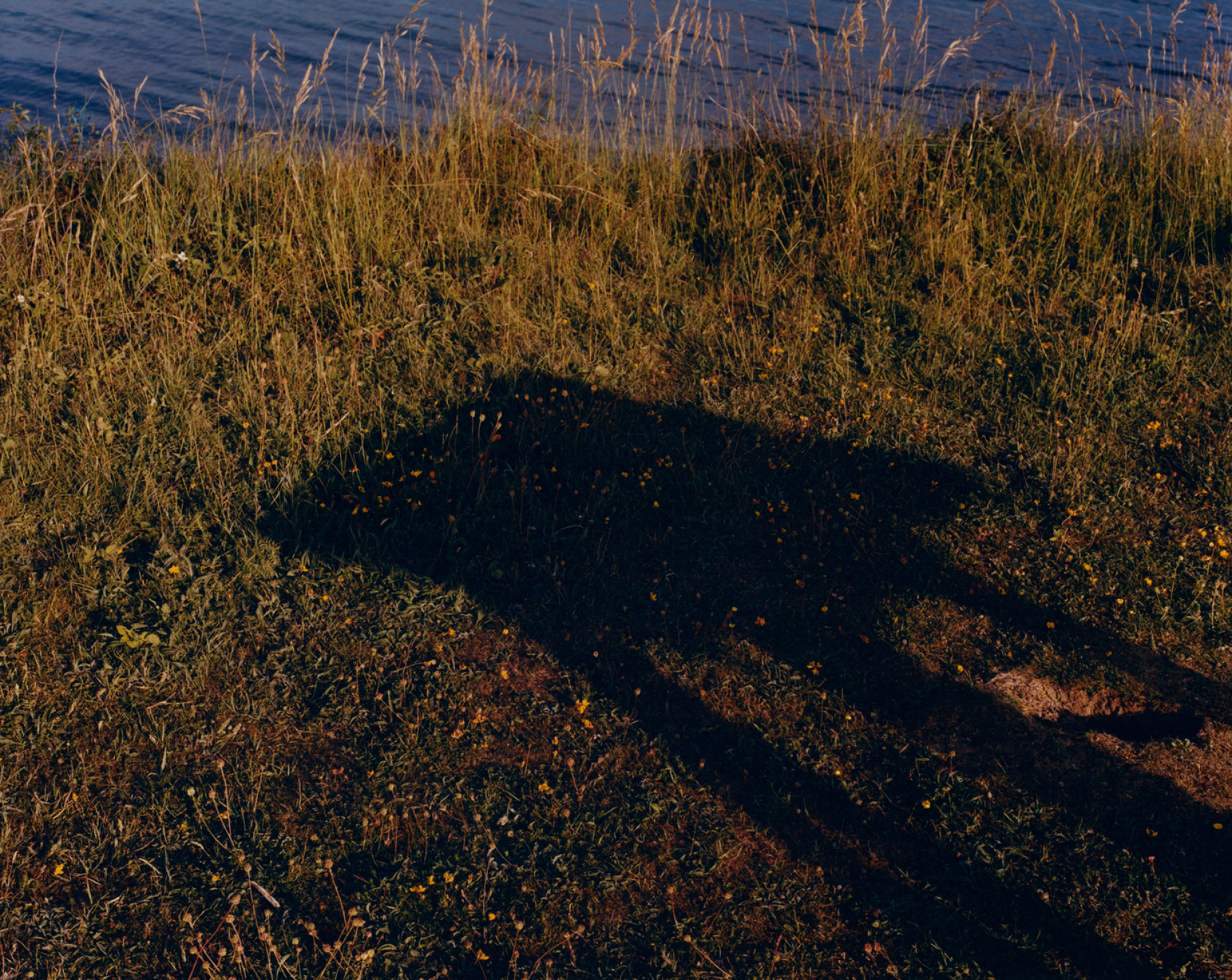 Samuel Bradley for Jo Malone London, Blossom