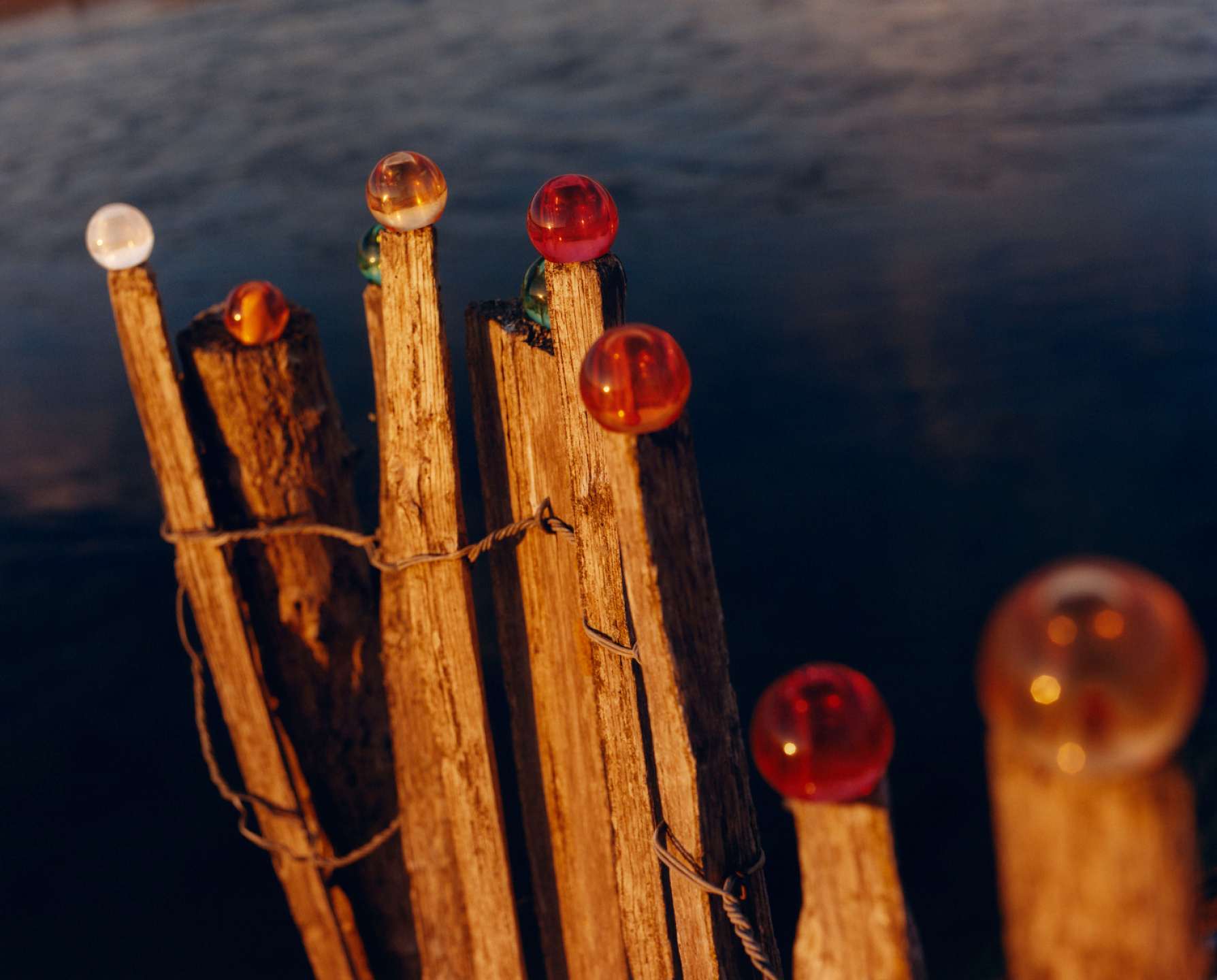 Samuel Bradley for Jo Malone London, Blossom