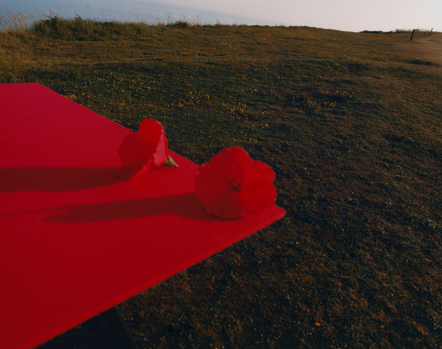 Samuel Bradley for Jo Malone London, Blossom