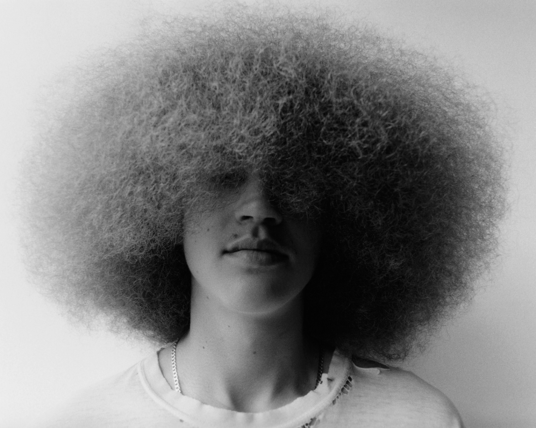 Samuel Bradley, Portfolio