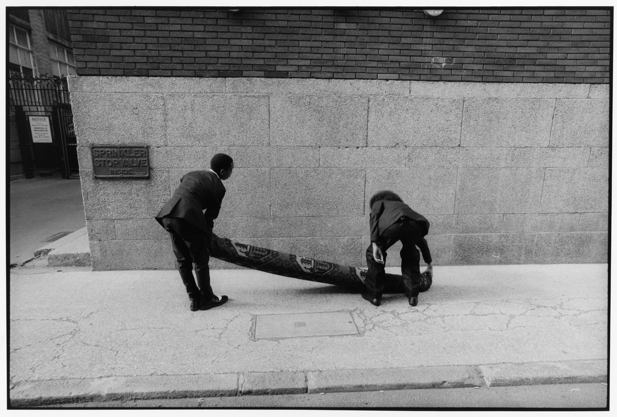 Samuel Bradley, Portfolio