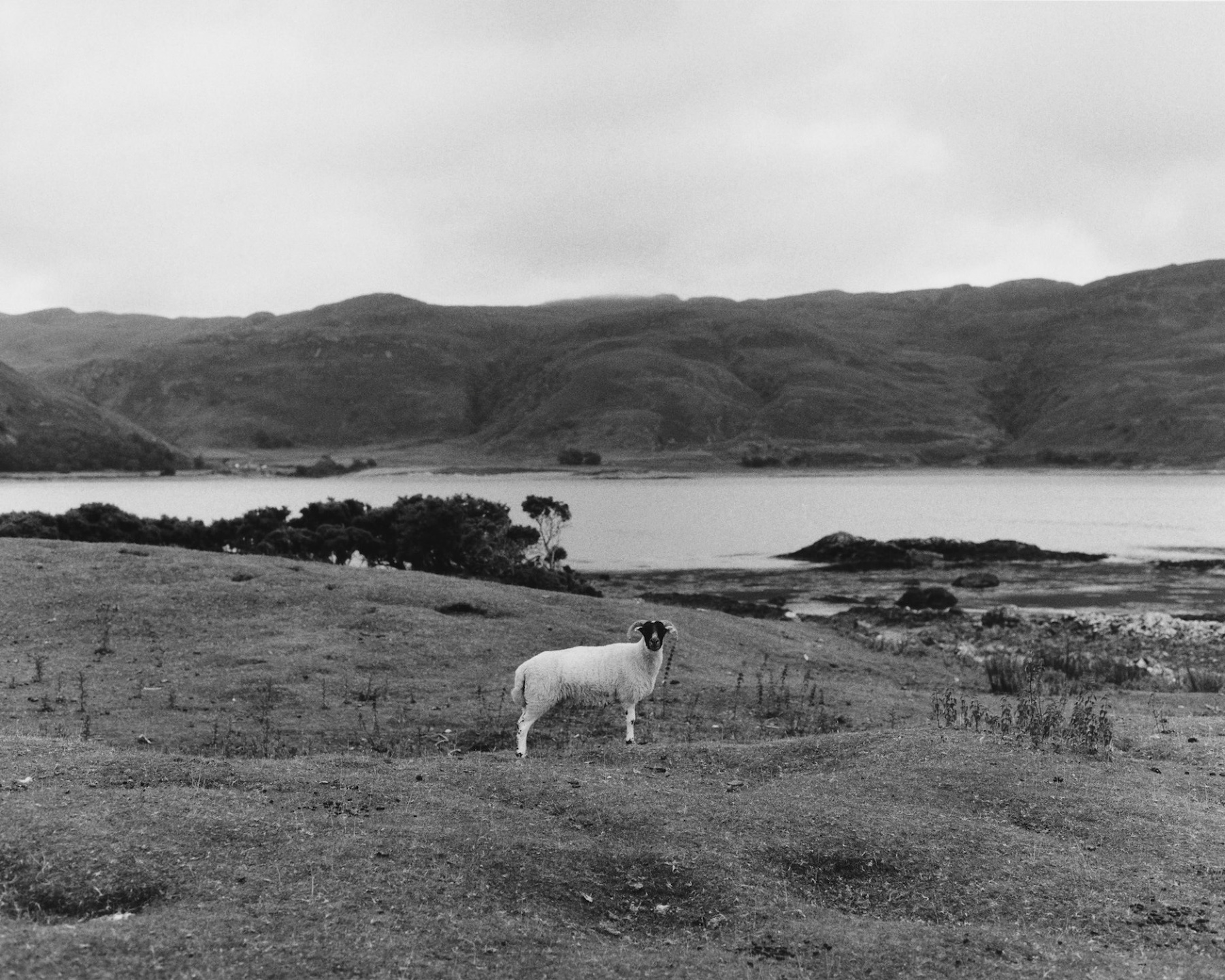Samuel Bradley for Norse Projects, AW21 Collection