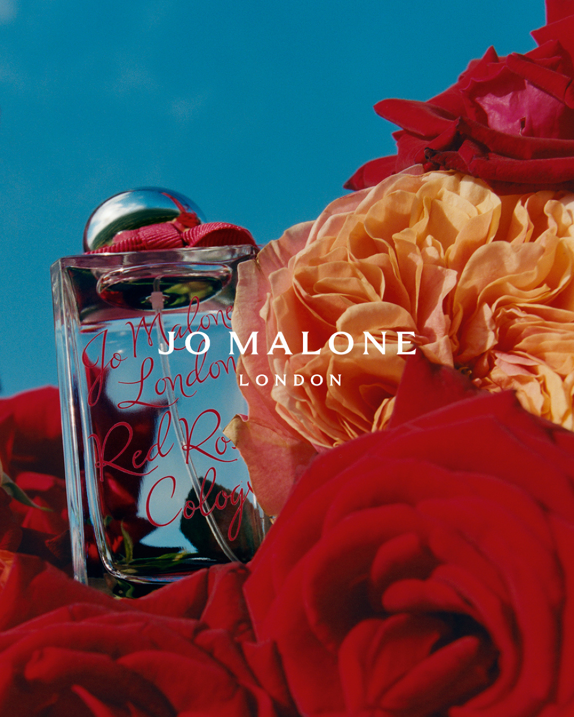 Samuel Bradley for Jo Malone London, Roses