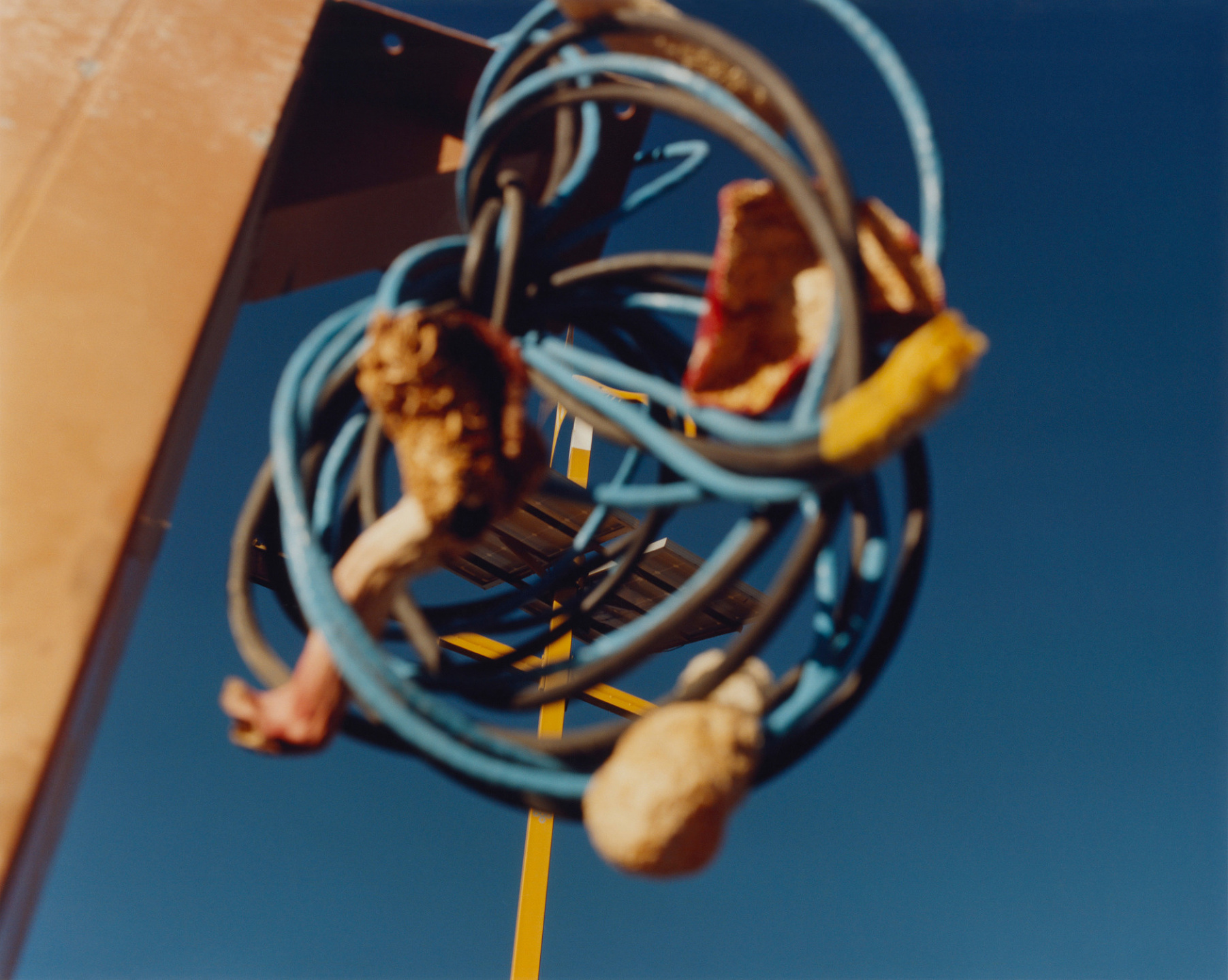 Samuel Bradley, Immortal Mushroom