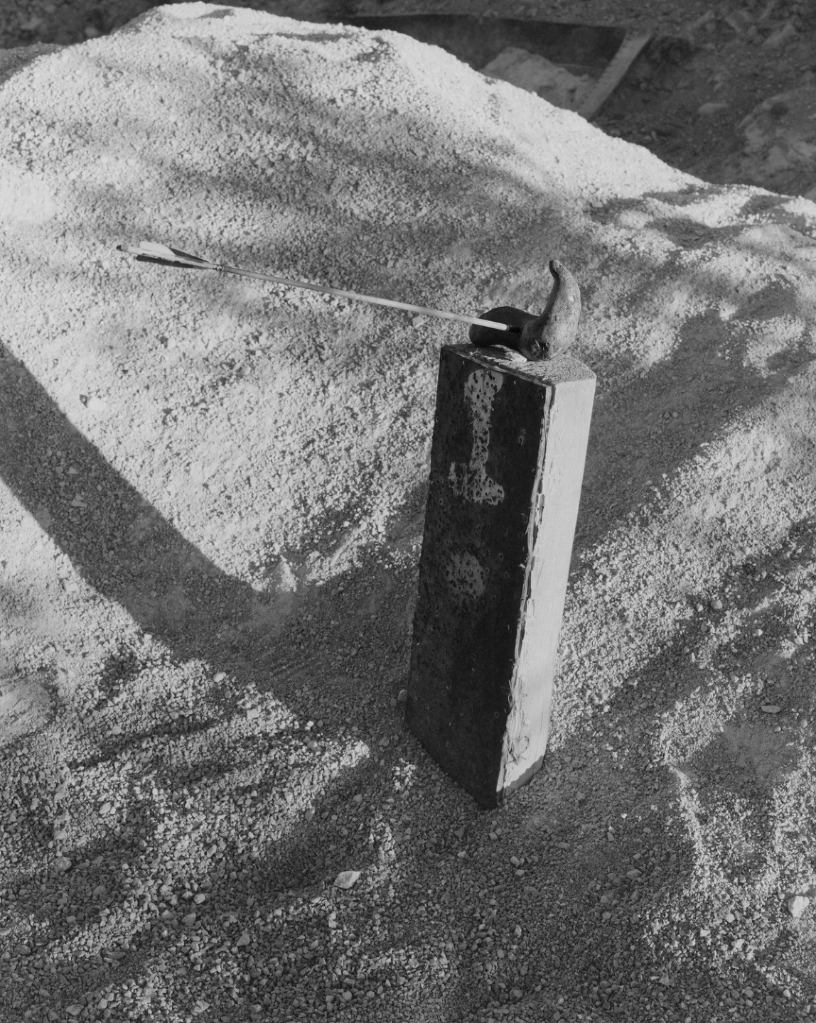 Samuel Bradley, Immortal Mushroom