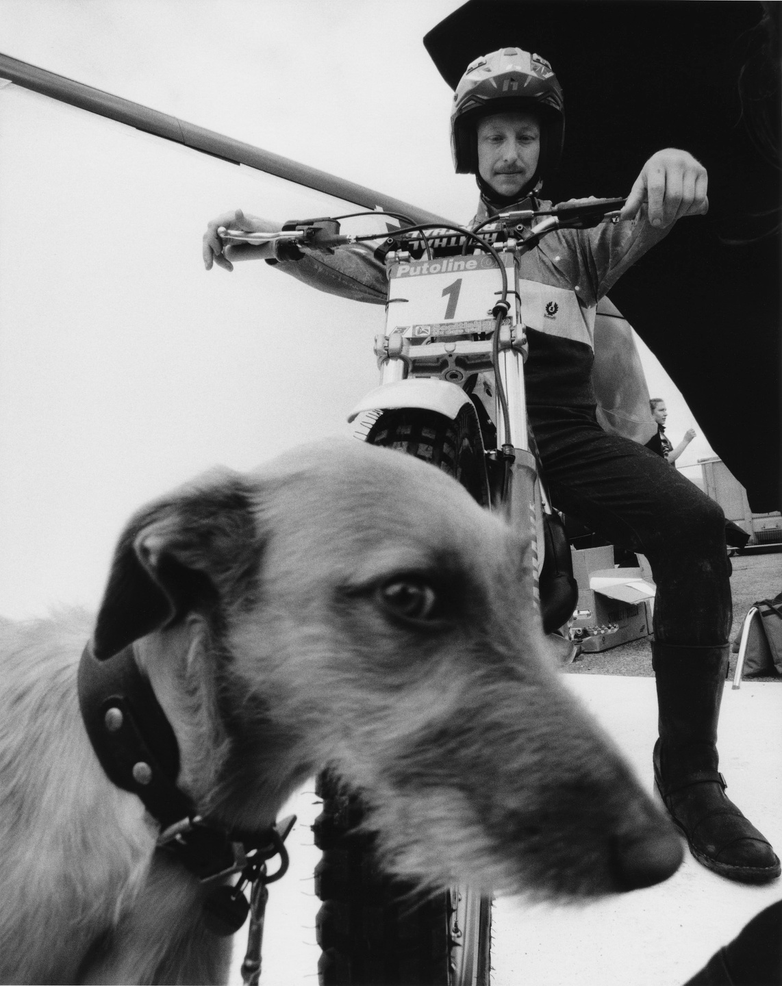 Samuel Bradley, Portfolio