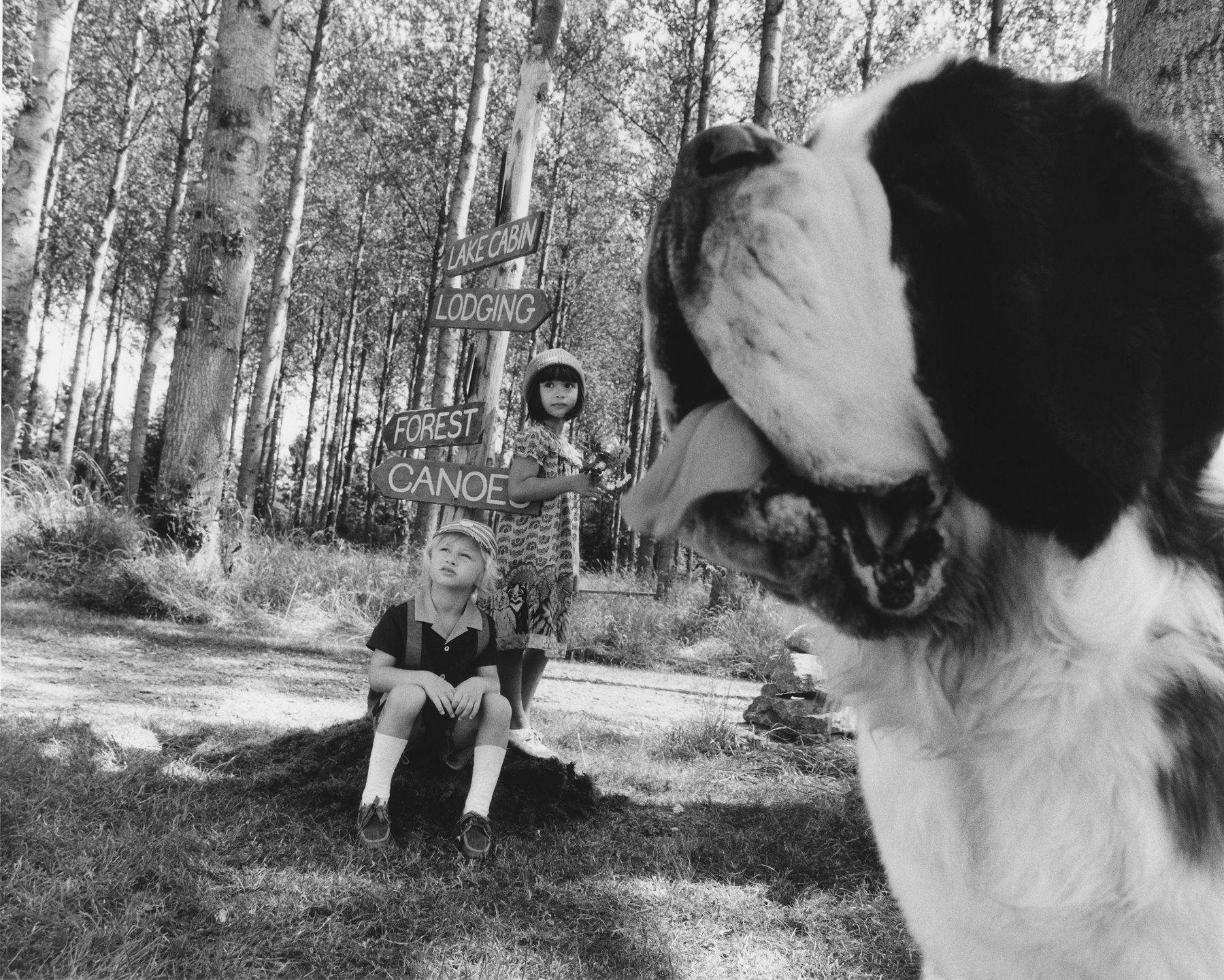 Samuel Bradley, Portfolio