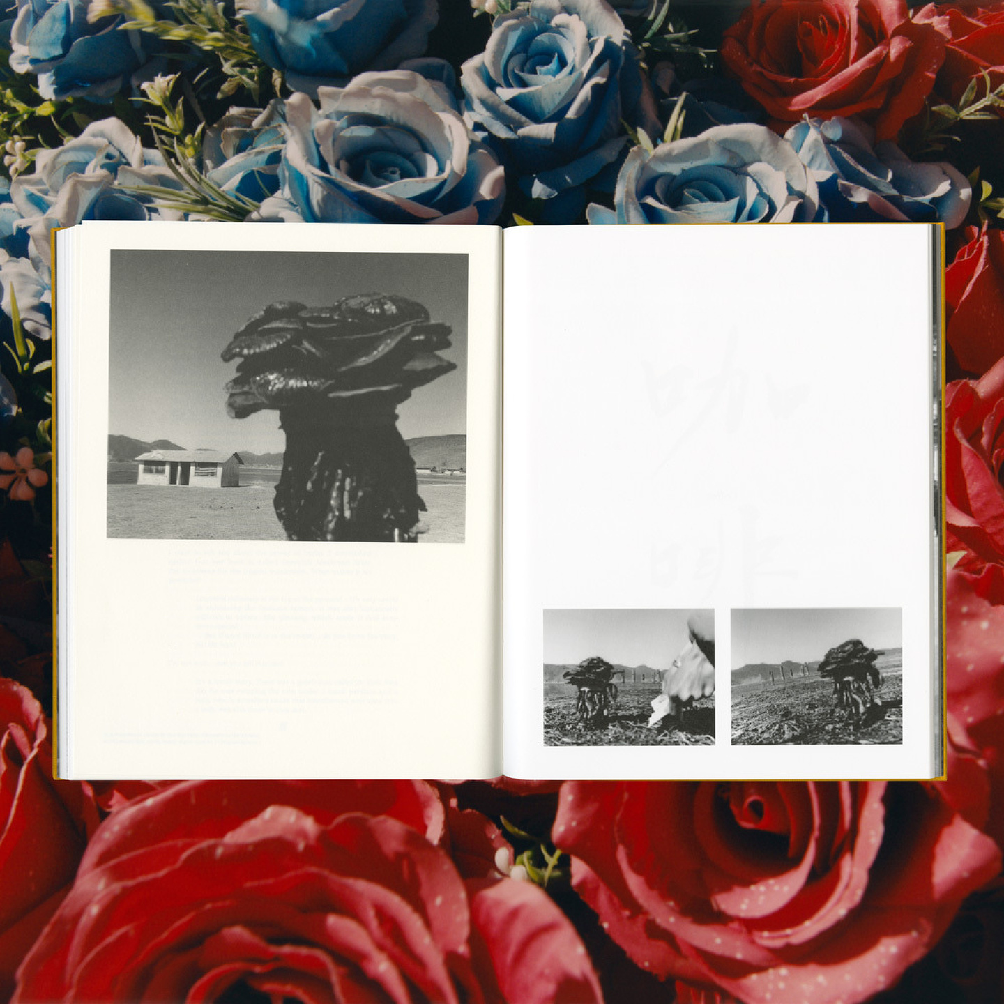 Samuel Bradley, Immortal Mushroom