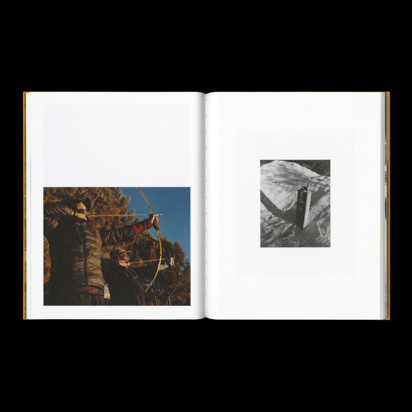 Samuel Bradley, Immortal Mushroom