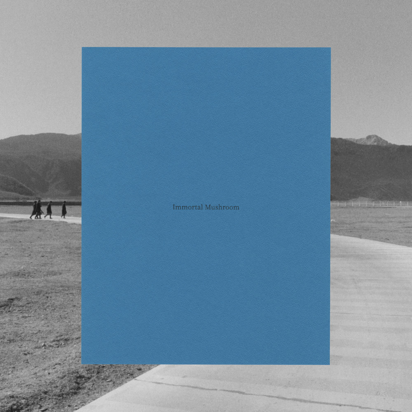 Samuel Bradley, Immortal Mushroom