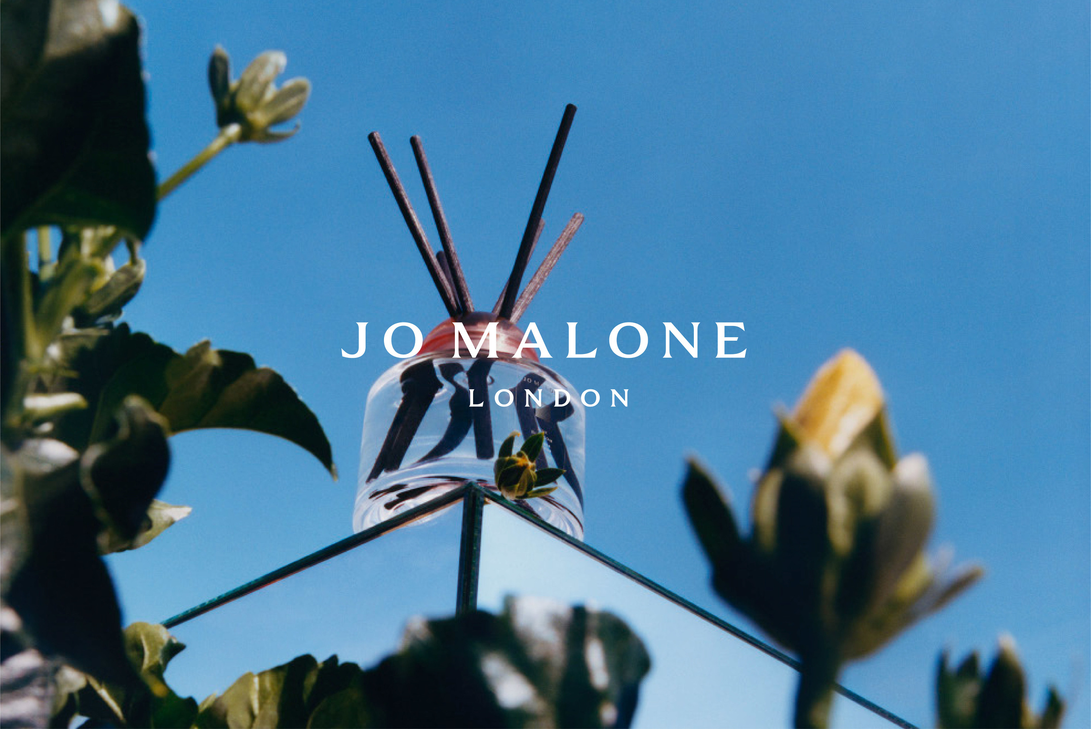 Samuel Bradley for Jo Malone London, Blossom
