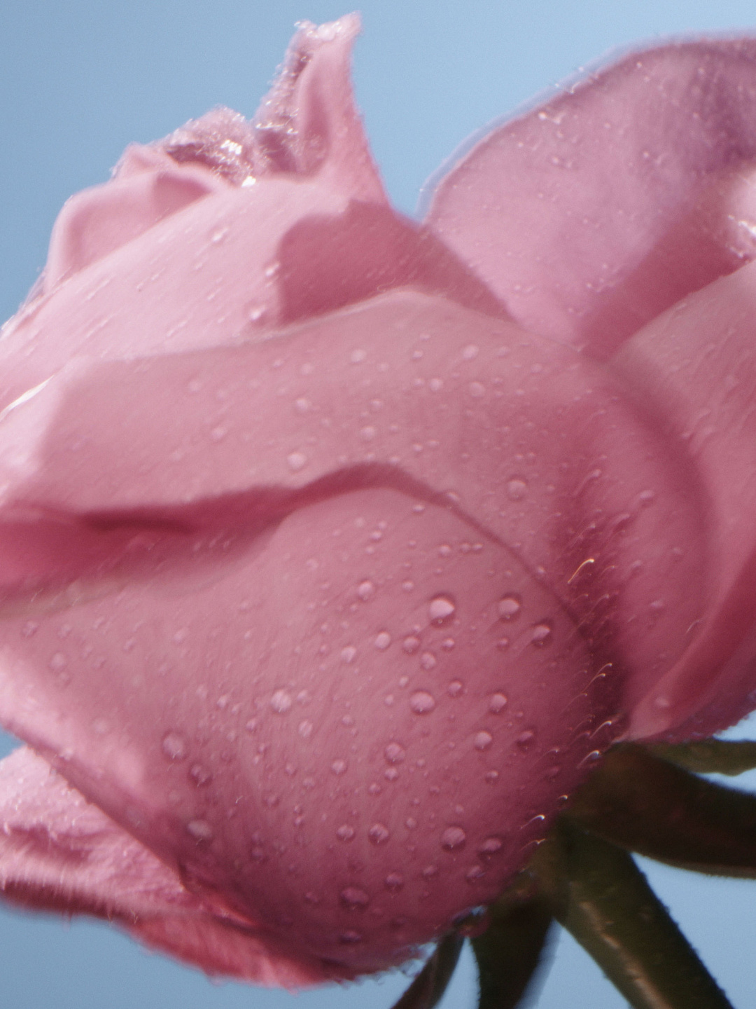 Qiu Yang for Glossier, Ultra Lip