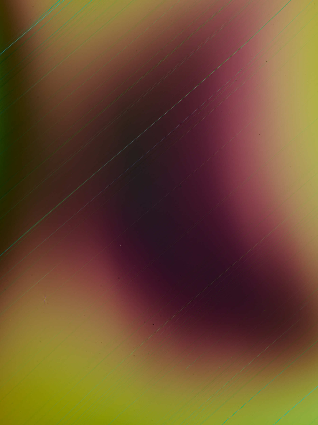 Qiu Yang, Internal Stress