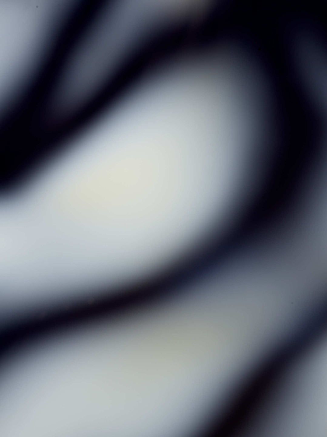 Qiu Yang, Internal Stress