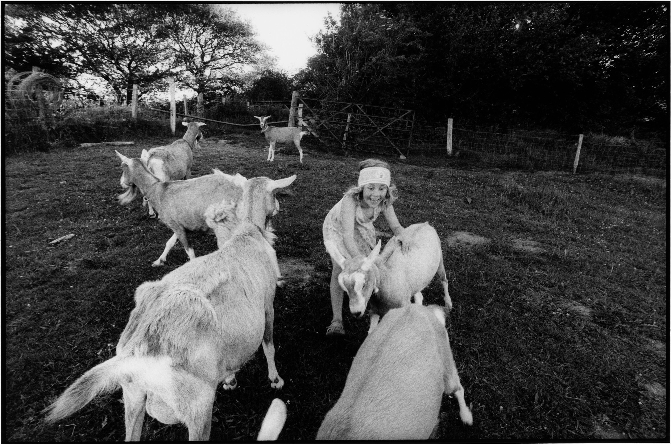 Samuel Bradley for Family Portrait, Issue 2