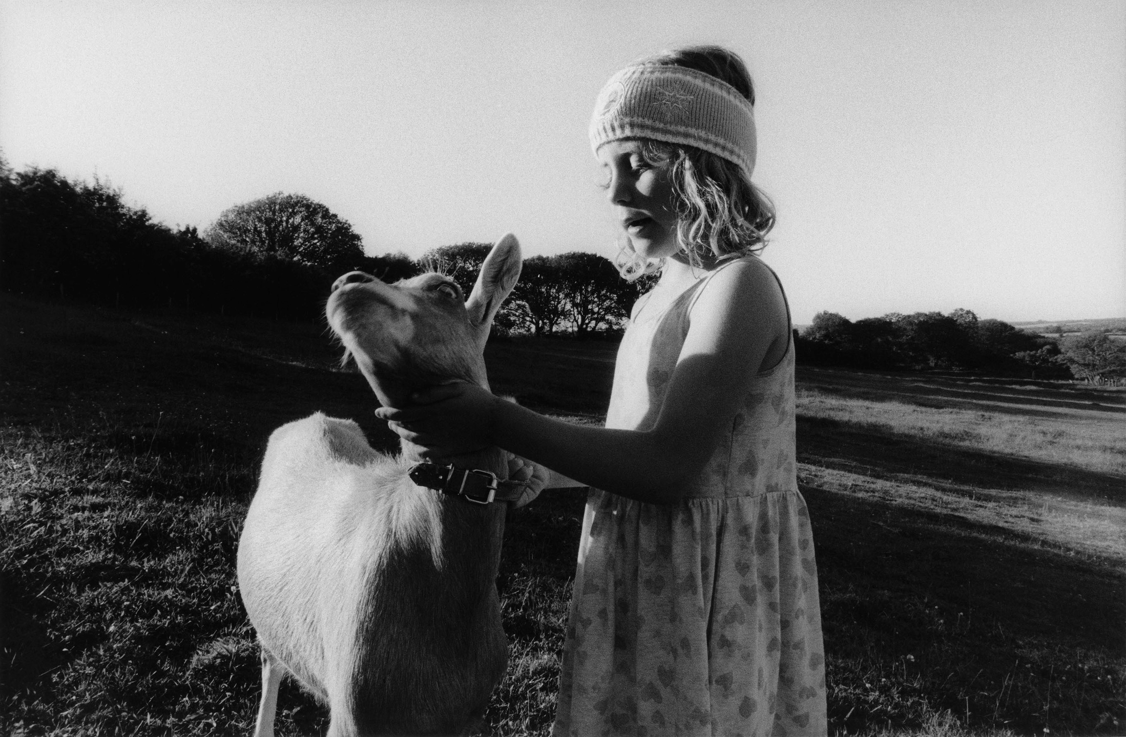 Samuel Bradley for Family Portrait, Issue 2