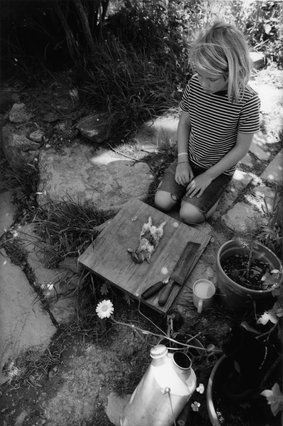 Samuel Bradley for Family Portrait, Issue 2