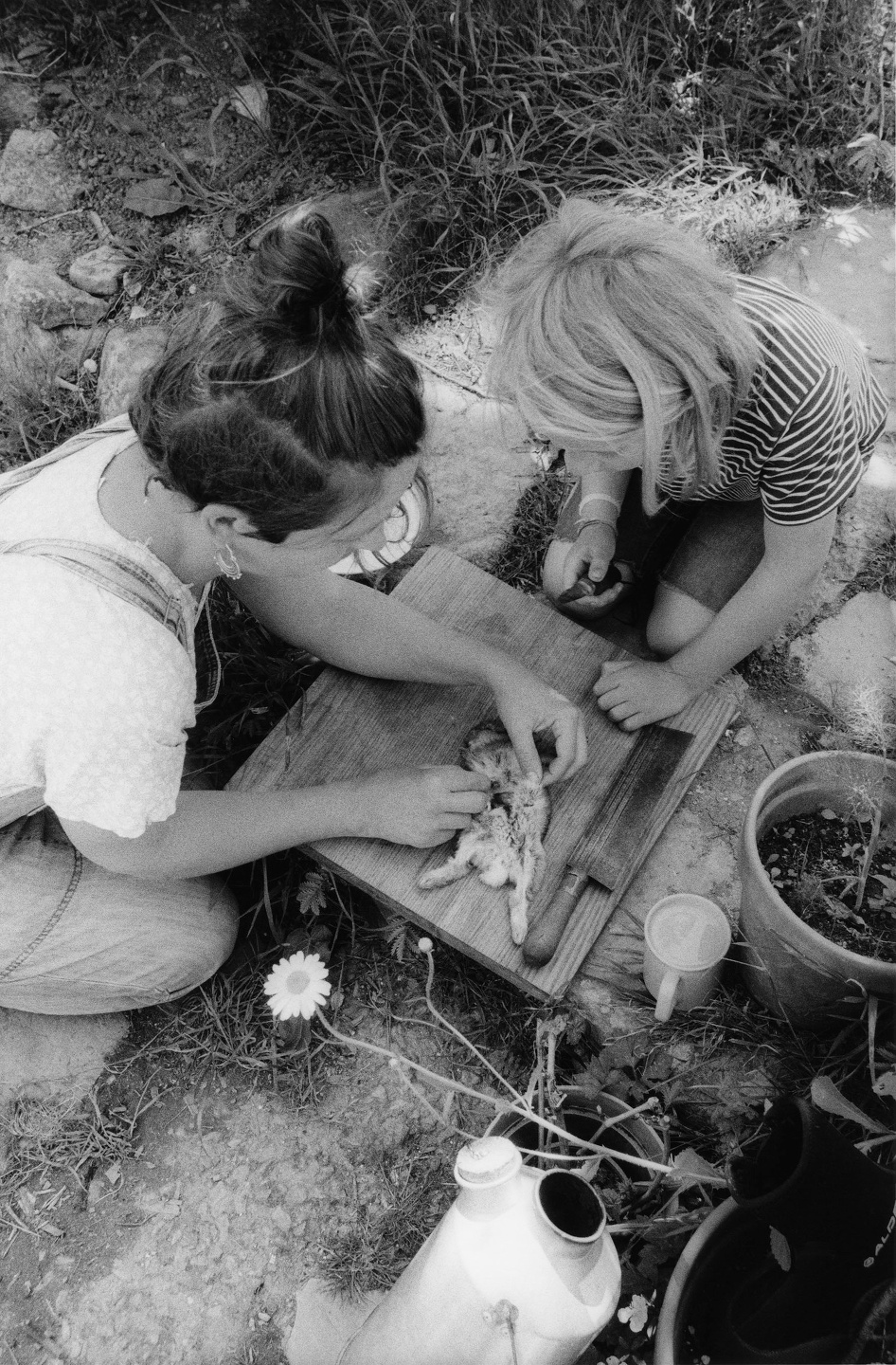 Samuel Bradley for Family Portrait, Issue 2