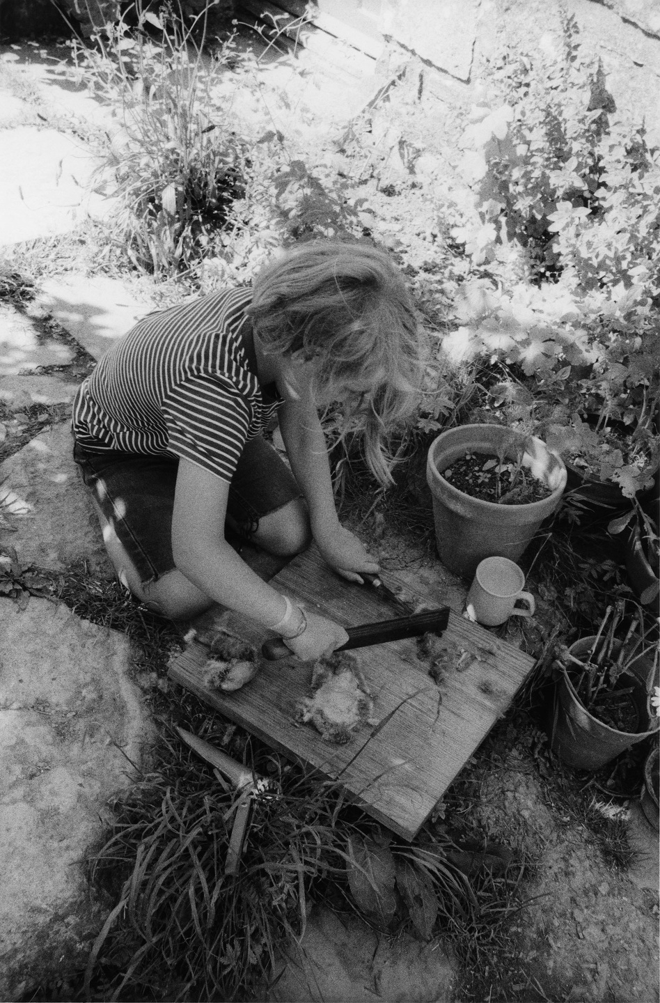 Samuel Bradley for Family Portrait, Issue 2