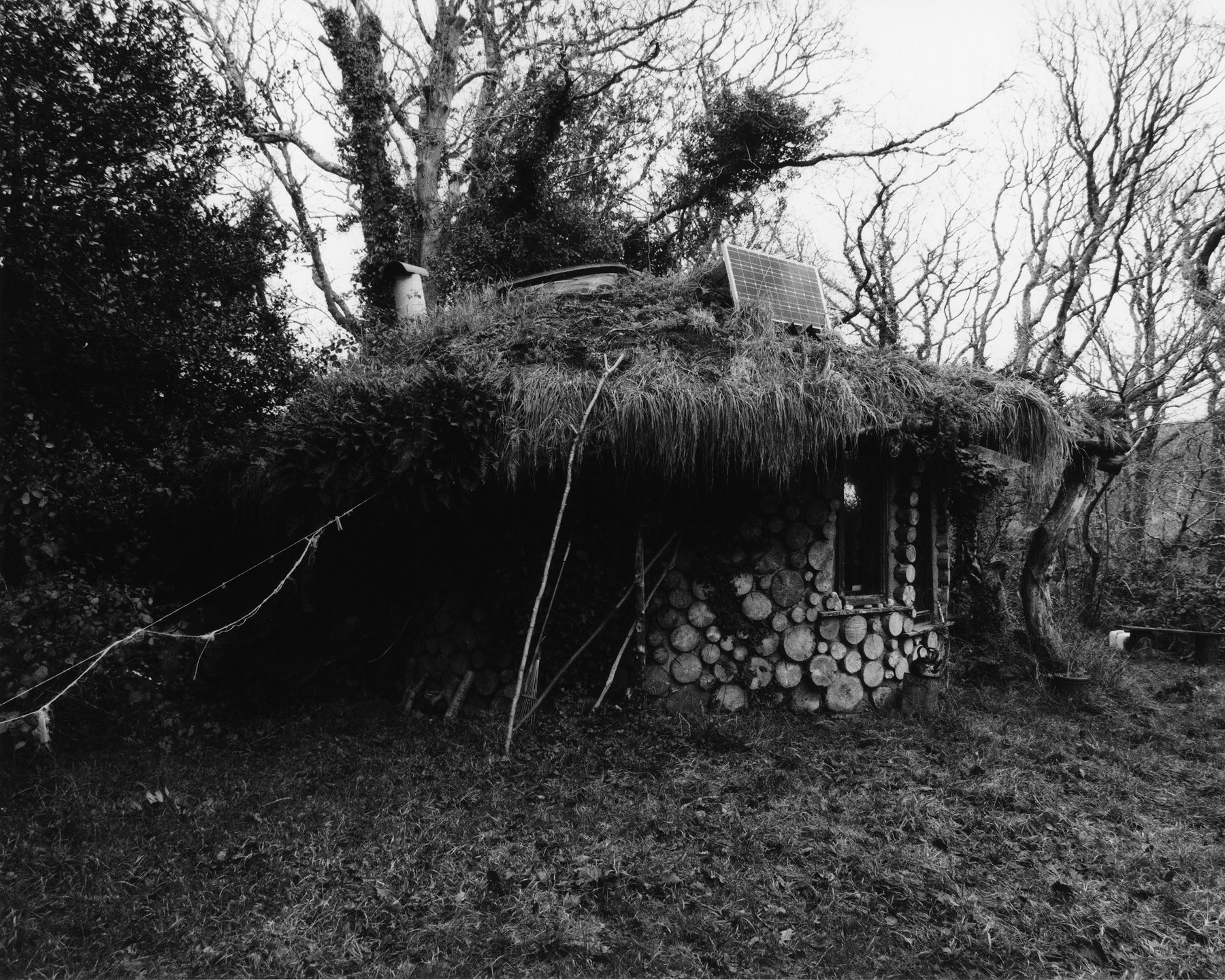 Samuel Bradley for Family Portrait, Issue 2