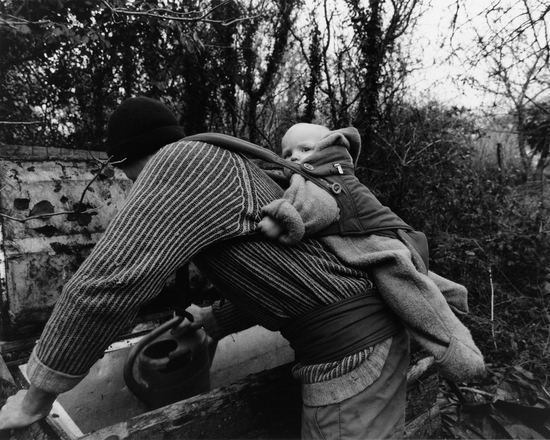 Samuel Bradley for Family Portrait, Issue 2