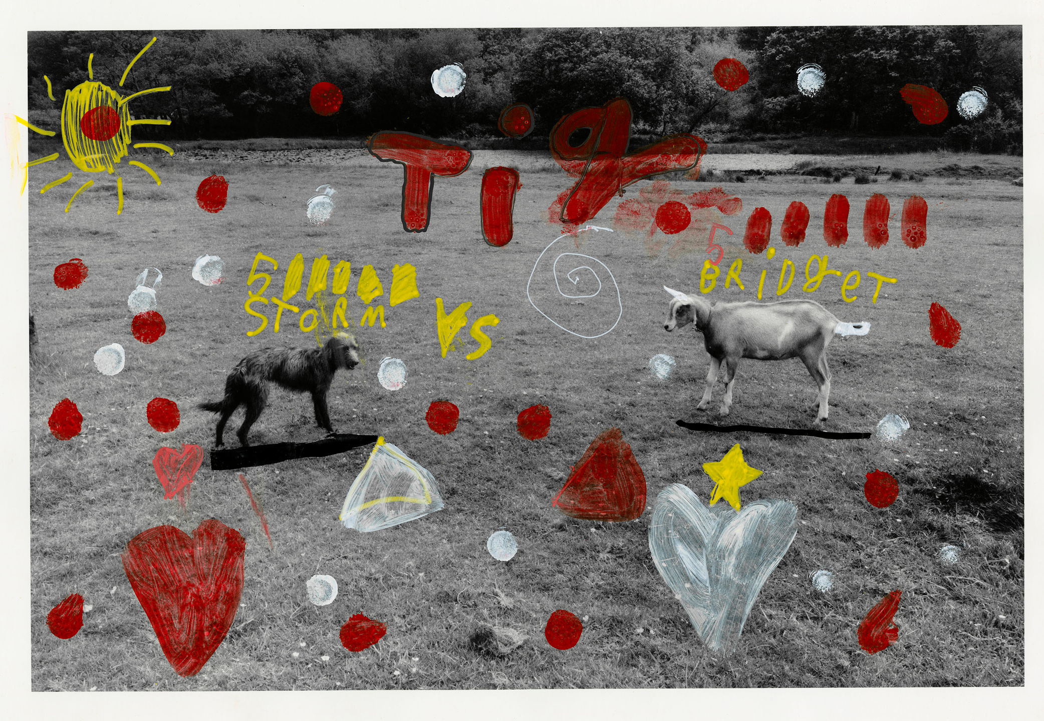 Samuel Bradley for Family Portrait, Issue 2