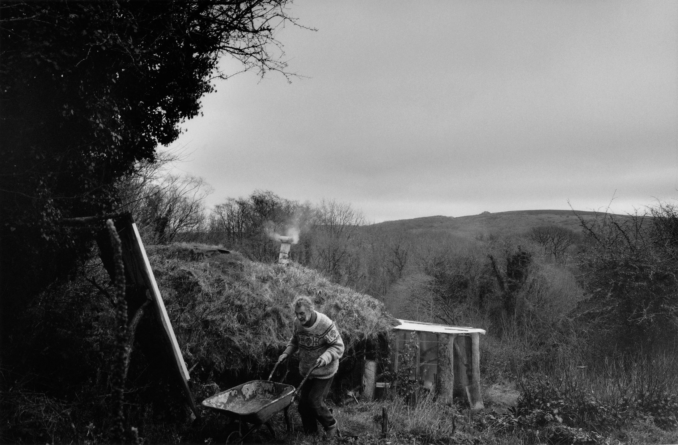 Samuel Bradley for Family Portrait, Issue 2