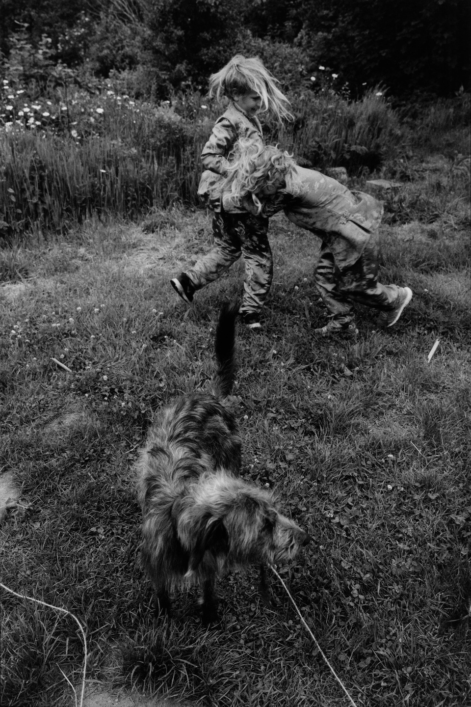 Samuel Bradley for Family Portrait, Issue 2