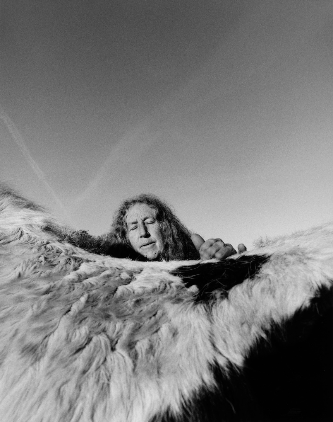 Samuel Bradley for Family Portrait, Issue 2