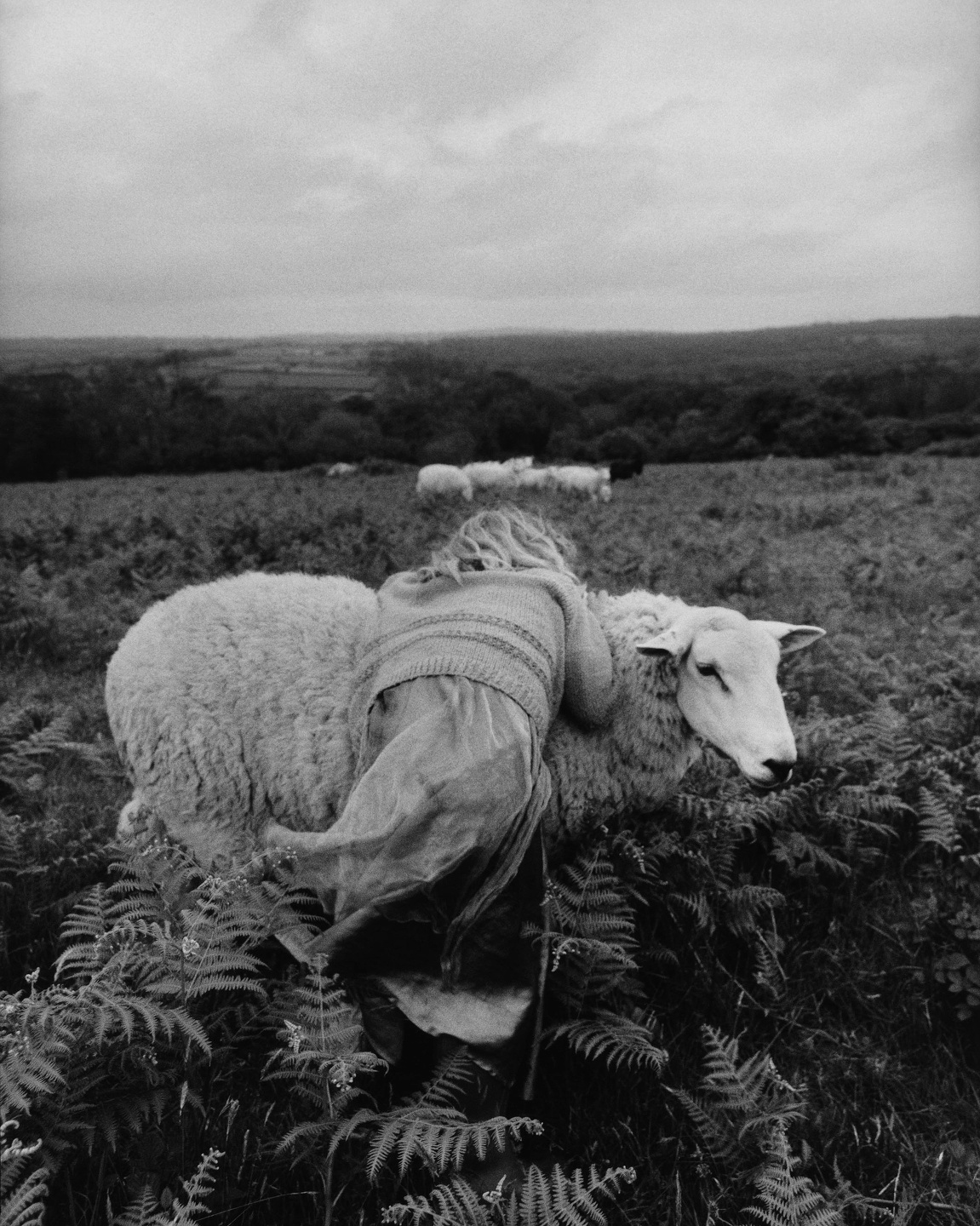 Samuel Bradley for Family Portrait, Issue 2