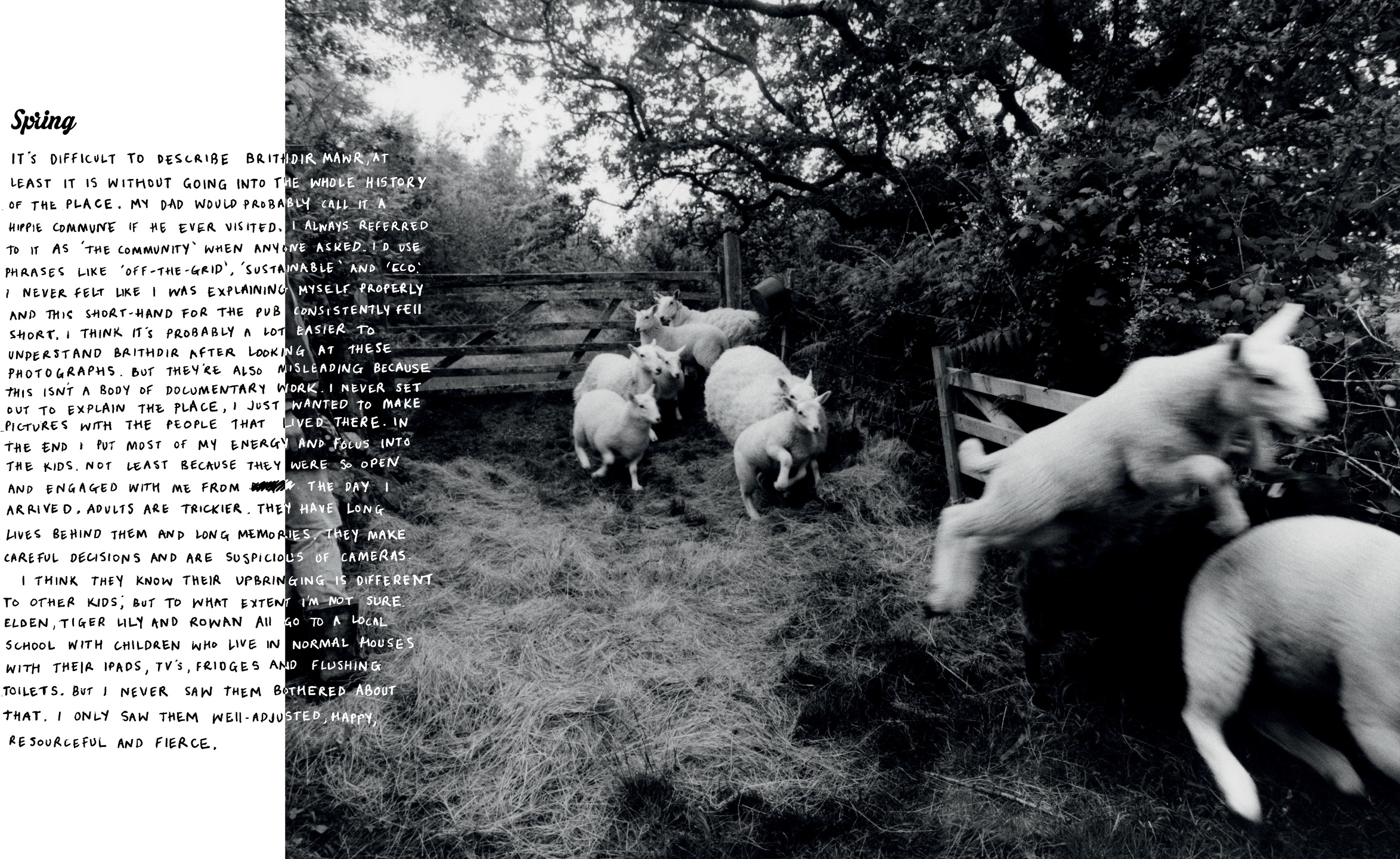 Samuel Bradley for Family Portrait, Issue 2