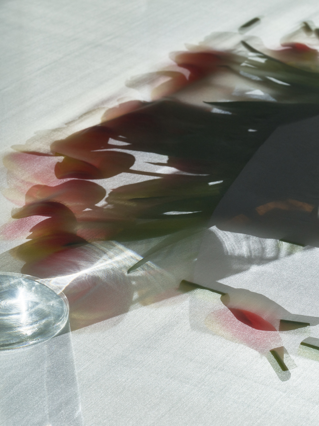 Qiu Yang for WWD, Untitled from Isolation