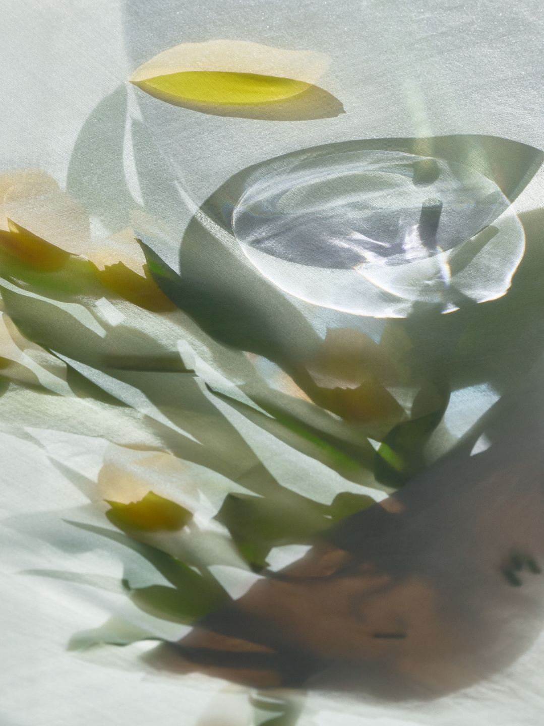Qiu Yang for WWD, Untitled from Isolation