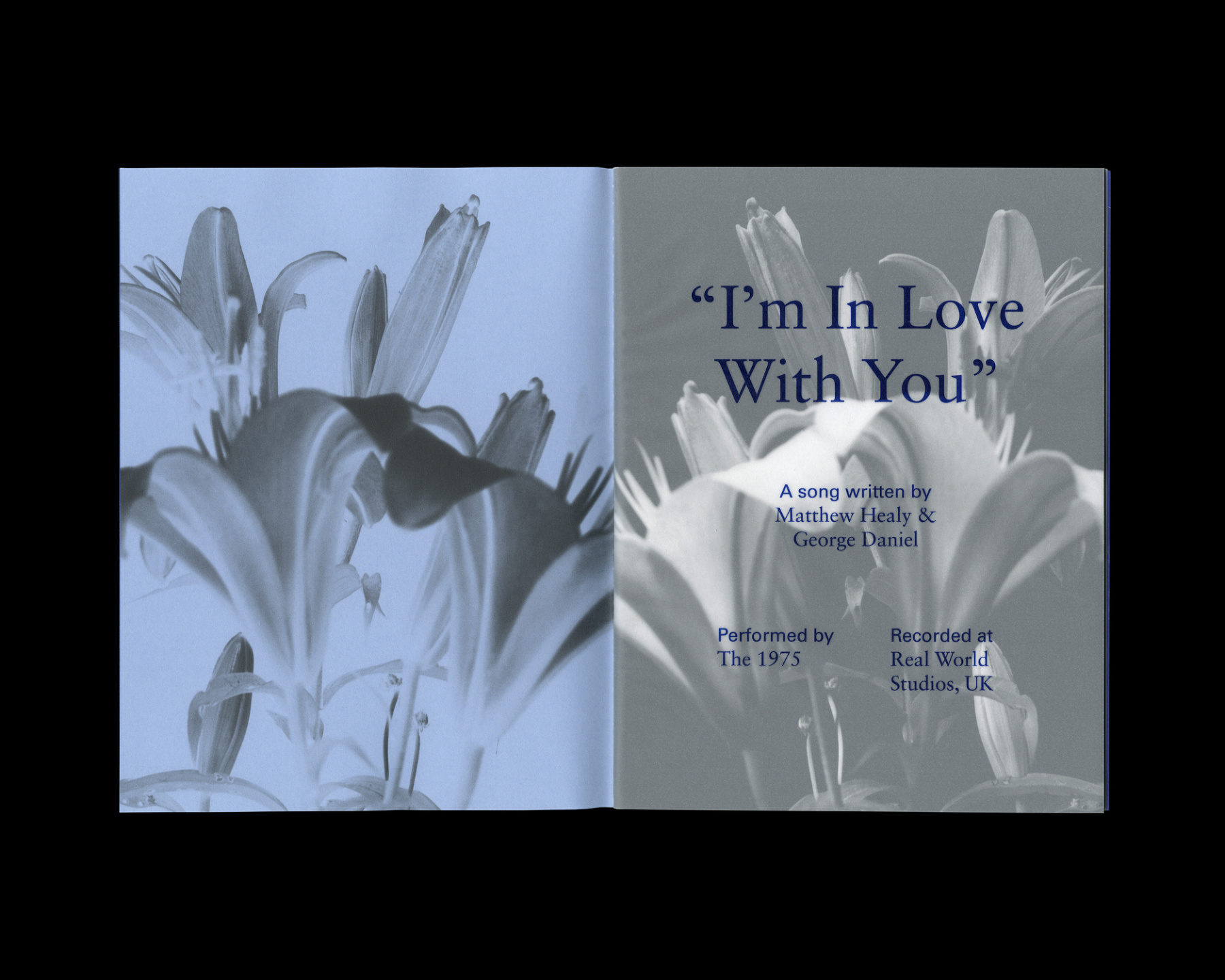 Samuel Bradley for The 1975, Zine 3