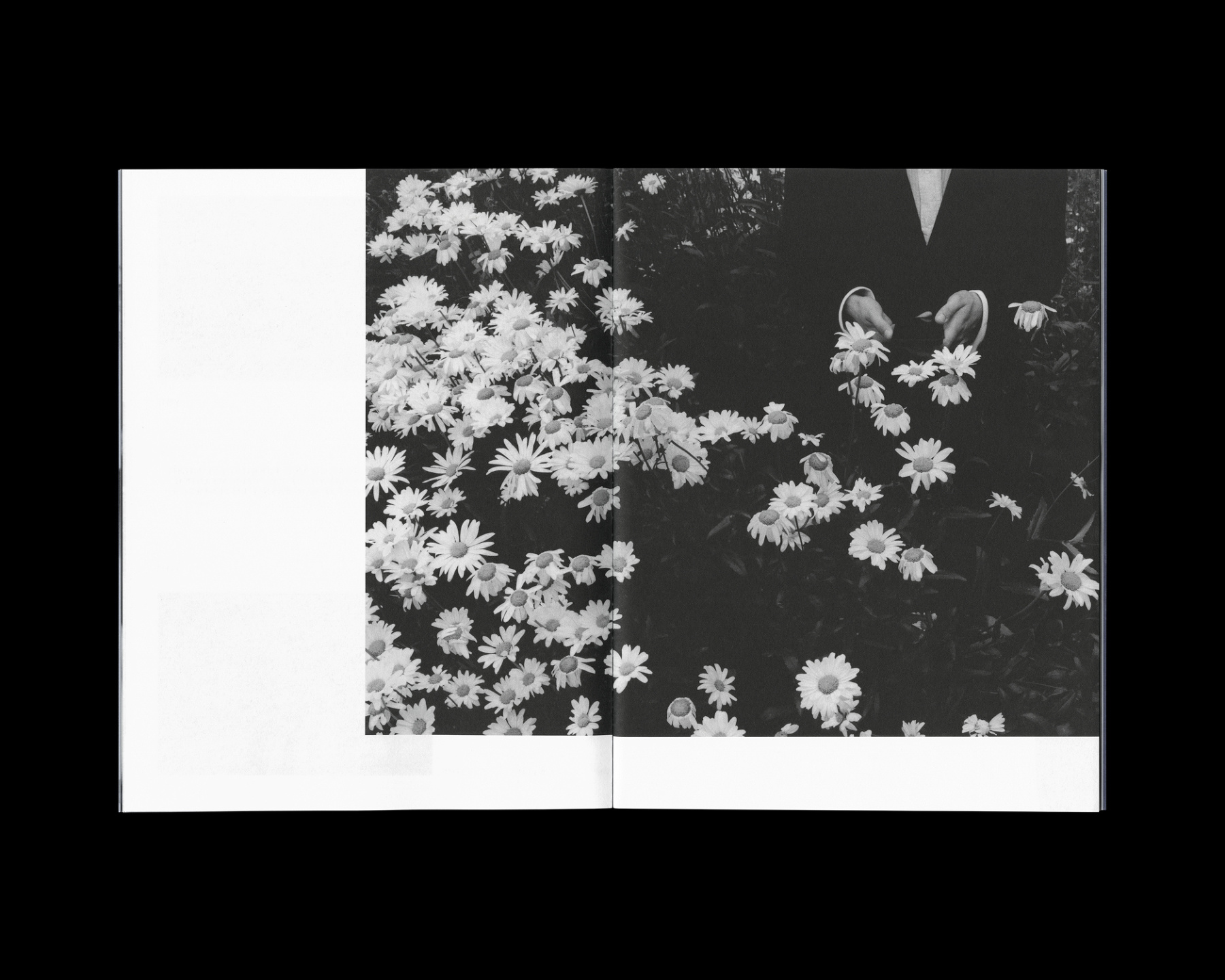 Samuel Bradley for The 1975, Zine 3