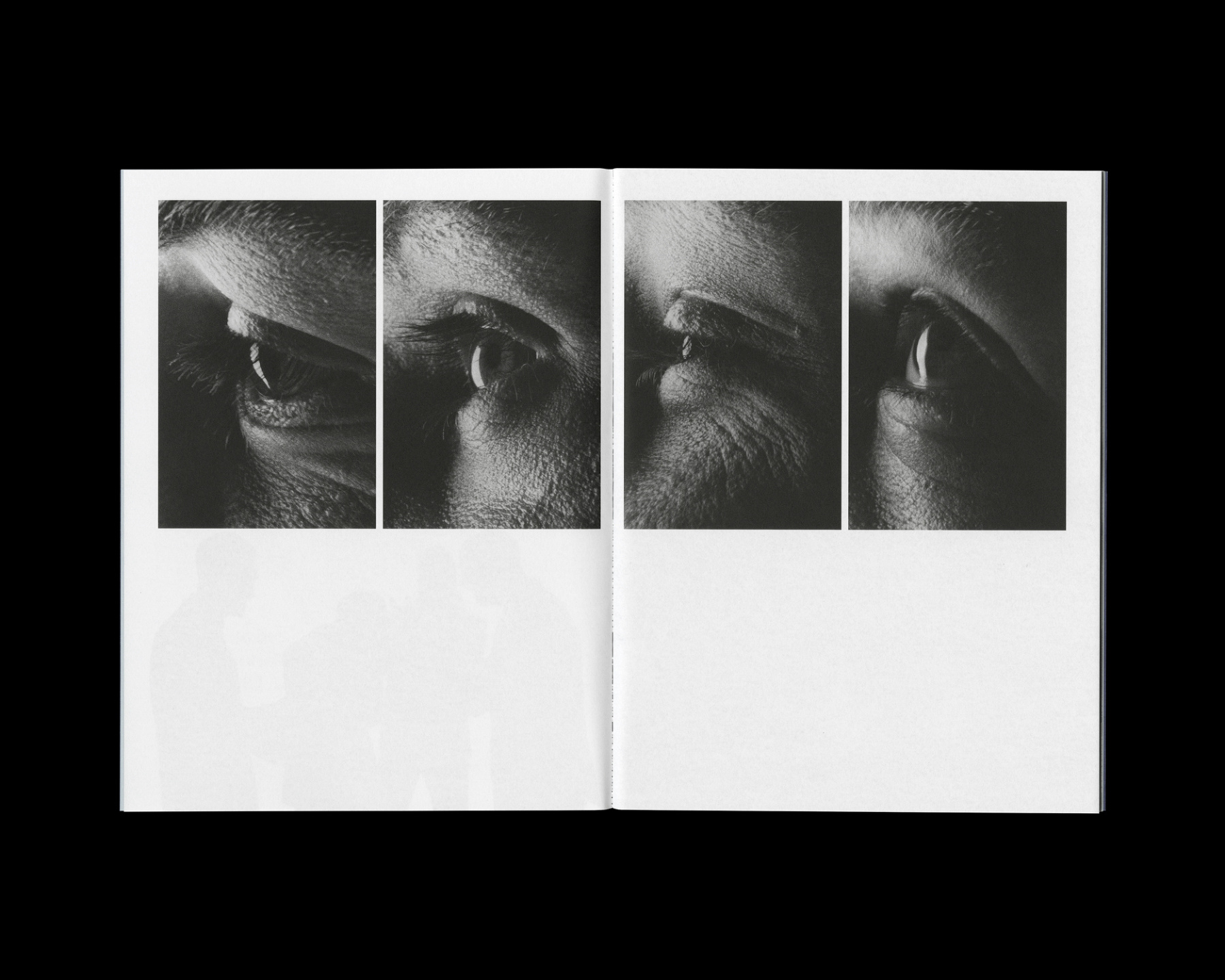 Samuel Bradley for The 1975, Zine 4