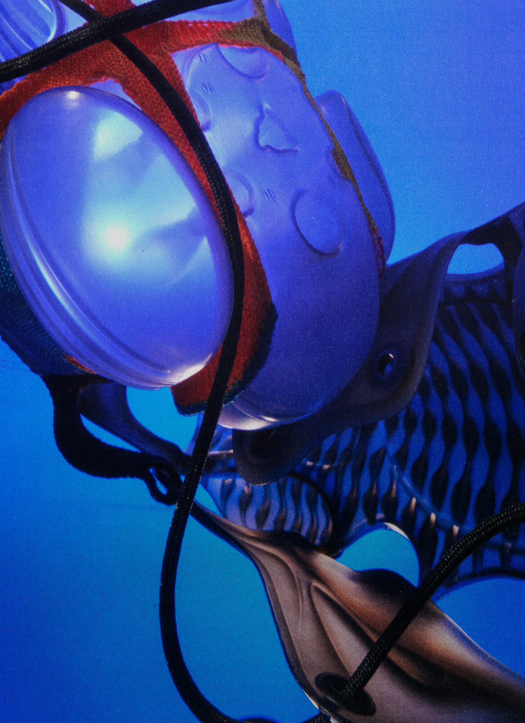 Qiu Yang for Nike, Citizen ISPA