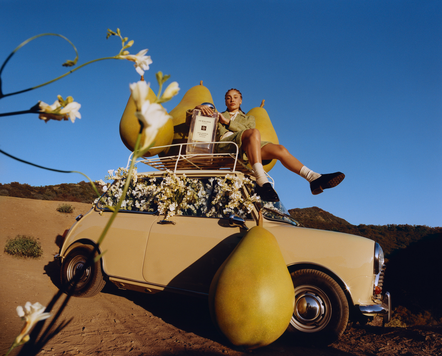 Samuel Bradley, Beauty