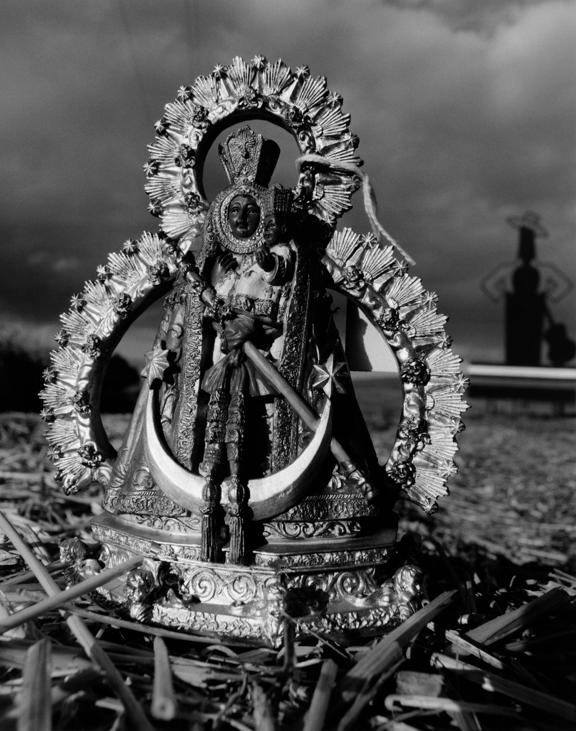 Samuel Bradley for Sixteen Journal, Volume 9