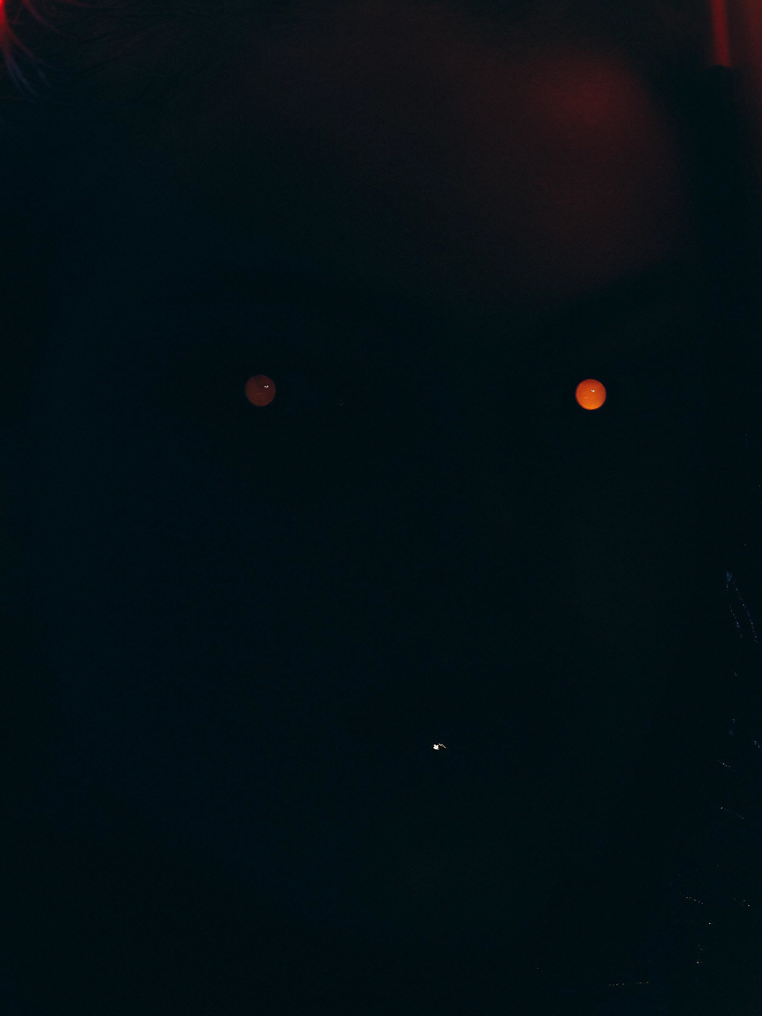 Qiu Yang, Only You See What I See