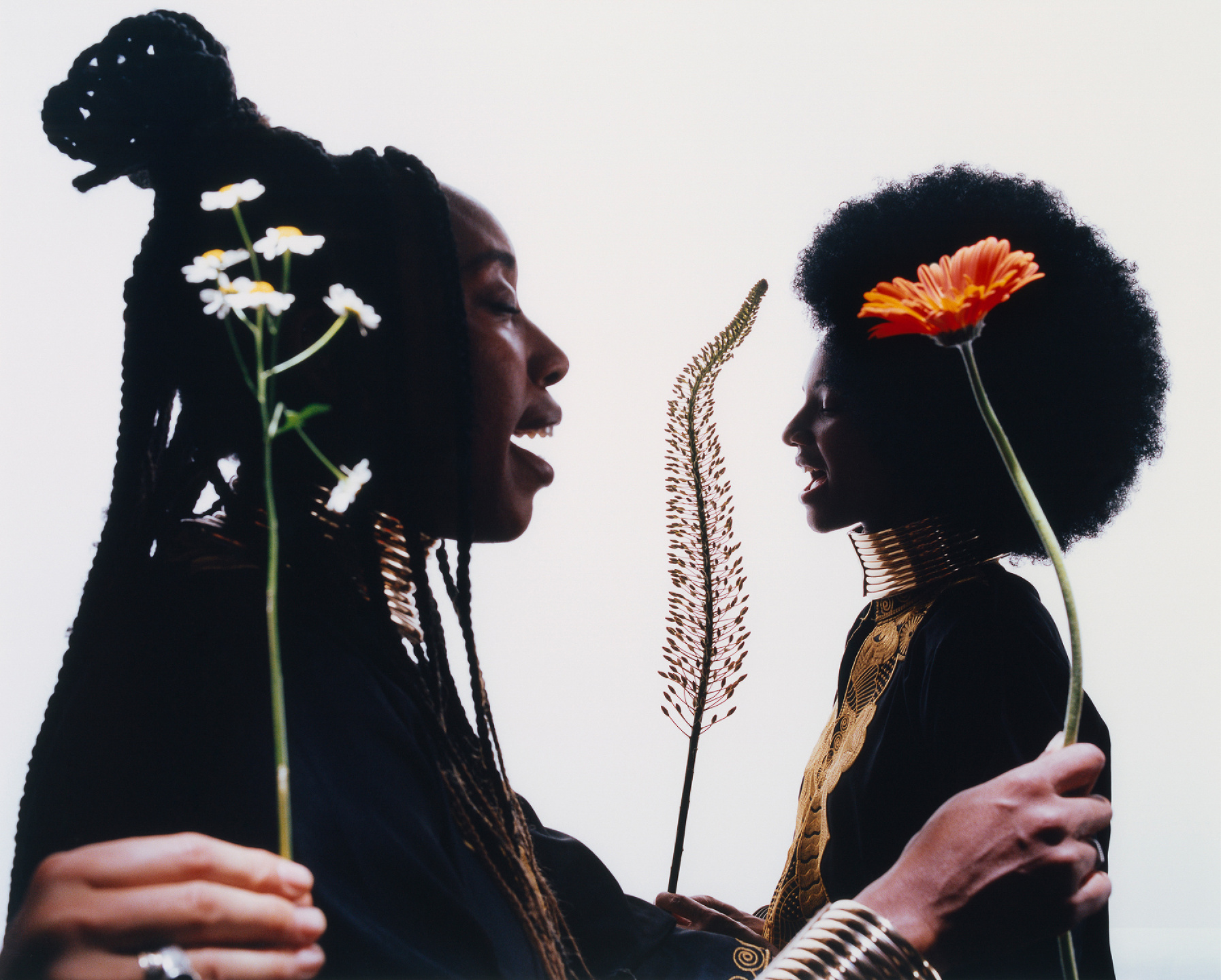 Samuel Bradley for Family Portrait, Issue 3