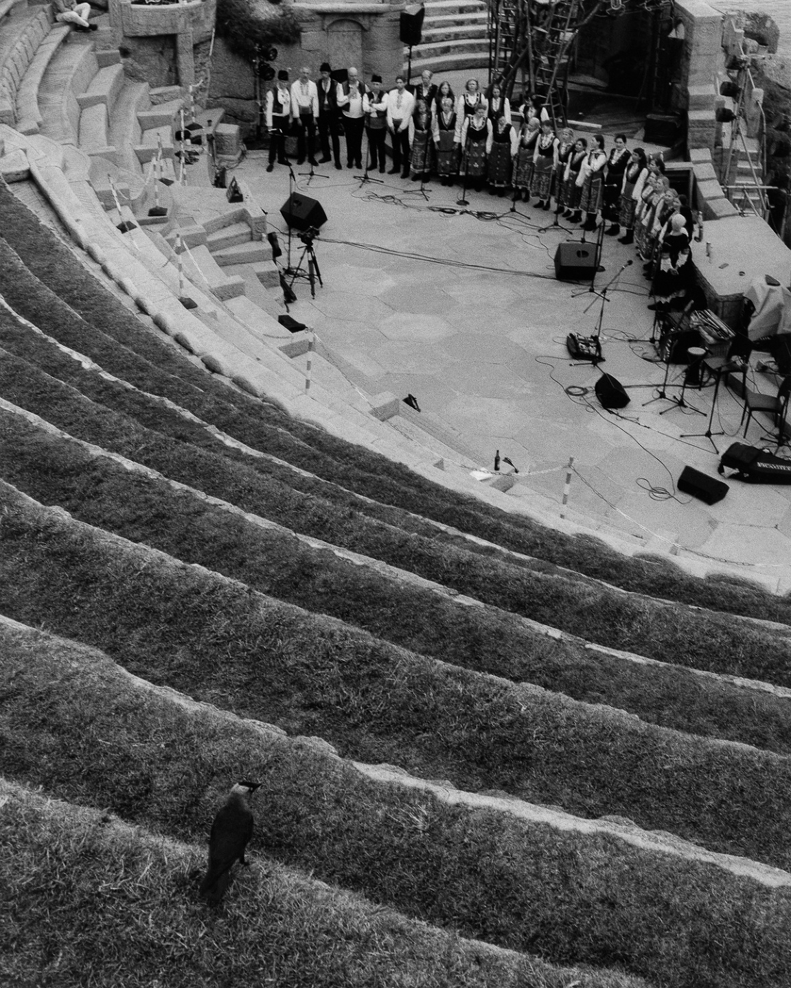 Samuel Bradley for Family Portrait, Issue 3