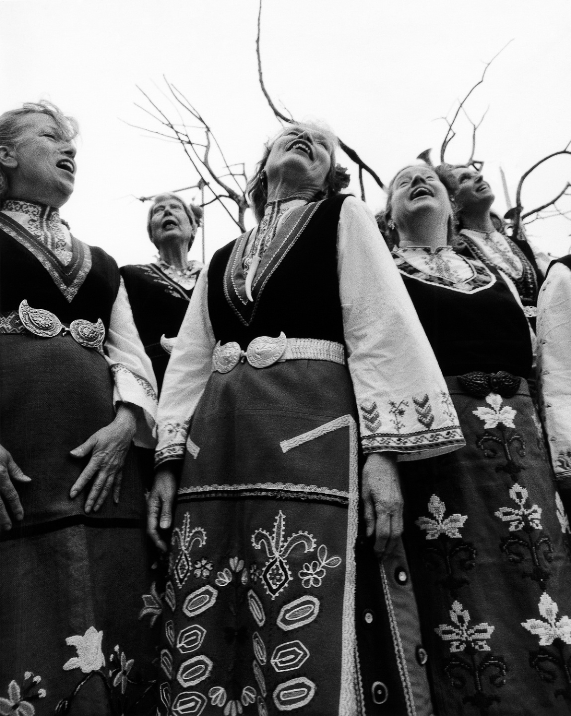 Samuel Bradley for Family Portrait, Issue 3